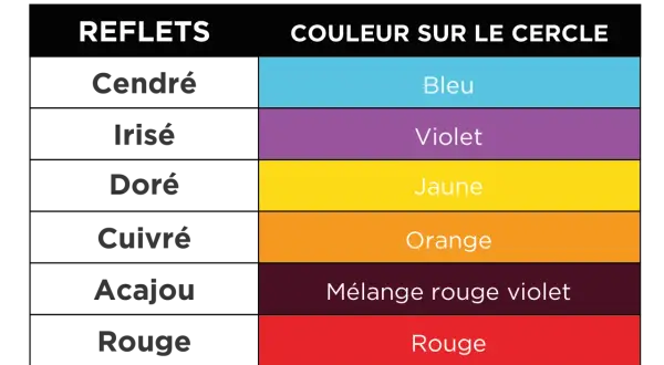 Tableau des reflets capillaires Wella et leurs couleurs correspondantes sur le cercle chromatique : Cendré/Bleu, Irisé/Violet, Doré/Jaune, Cuivré/Orange, Acajou/Mélange rouge violet, Rouge/Rouge.