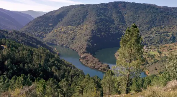 Un río serpentea entre montañas boscosas en Ribas de Sil. El sol ilumina el paisaje otoñal.