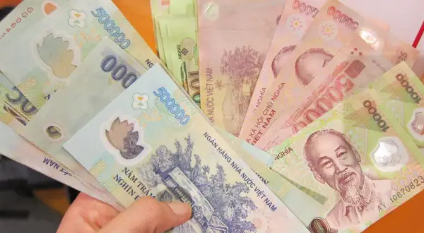 W ręce trzymam plik banknotów. To waluta Wietnamu, w tym banknoty 500 000 i 10 000 dongów.