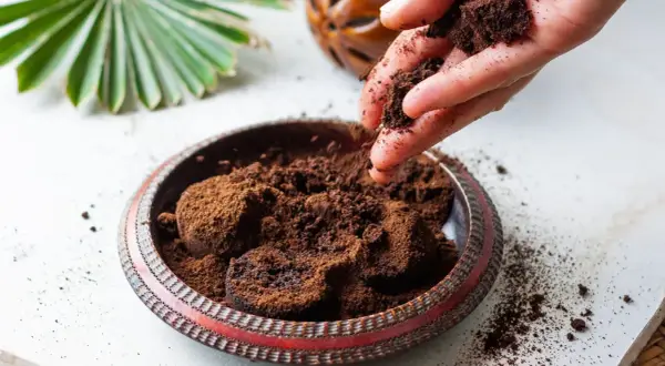 Kaffeesatz gegen Raupen: Eine Hand streut Kaffeesatz in eine Schale. Ein natürliches Mittel für den Garten.