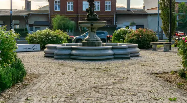 Kamienna fontanna i ławka w otoczeniu kwitnących krzewów róż tworzą urokliwy zakątek, jakby z najładniejszej wsi w Polsce.