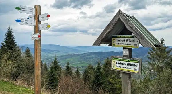Rozdroże szlaków w Beskidzie Wyspowym. Tabliczki kierunkowe wskazują drogę na Luboń Wielki, część Małego Szlaku Beskidzkiego.
