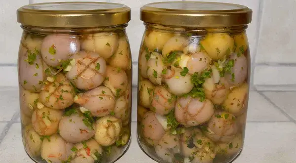 Due barattoli di lampagioni sott'olio, con erbe aromatiche e spezie, pronti per essere gustati.