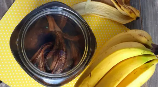 Nawóz ze skórek banana: Prosty przepis krok po kroku - Ekologiczny!