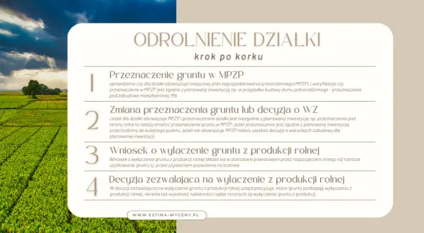Ile kosztuje odrolnienie działki? Sprawdź, co musisz wiedzieć
