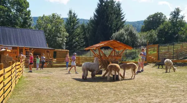 Najlepsze atrakcje w Lądku-Zdroju, które musisz odwiedzić
