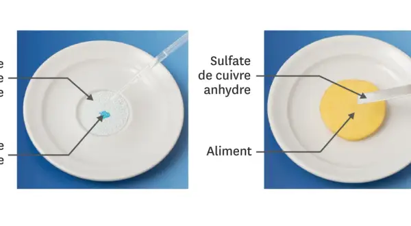 Sulfate de cuivre anhydre réagit avec un liquide, montrant le danger potentiel pour la santé. Une autre image montre le sulfate de cuivre sur un aliment.