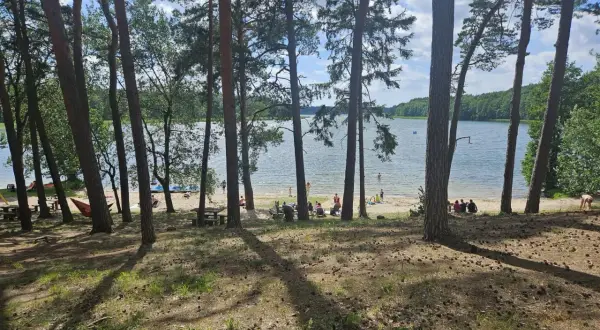 Plaża nad jeziorem, ludzie odpoczywają wśród drzew. Puszcza zielonka zachęca do relaksu.