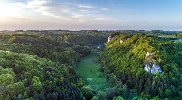 Malownicza Dolina Będkowska skąpana w zieleni, z wapiennymi skałami wznoszącymi się pośród drzew.