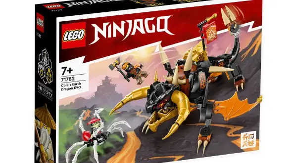Pudełko z klockami LEGO Ninjago przedstawia smoka ziemi Cole'a EVO walczącego z pajęczym wojownikiem. To jedna z wielu znanych firm zabawek.