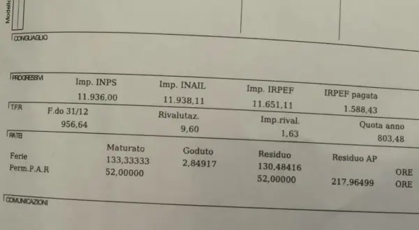 Dettagli su contributi e ferie pagate. Si vedono importi per INPS, INAIL, IRPEF e TFR, oltre a ferie maturate e godute.