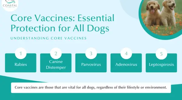 Essential core vaccines for dogs include Rabies, Canine Distemper, Parvovirus, Adenovirus, and Leptospirosis, vital for all pups.