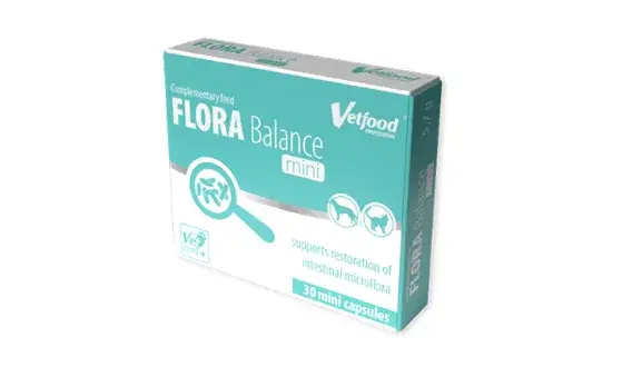 Jak acid balance dla psa może pomóc w problemach trawiennych?