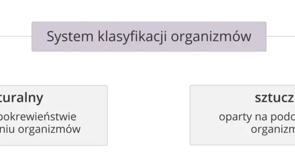 Co to jest systematyka w biologii i jak wpływa na klasyfikację organizmów