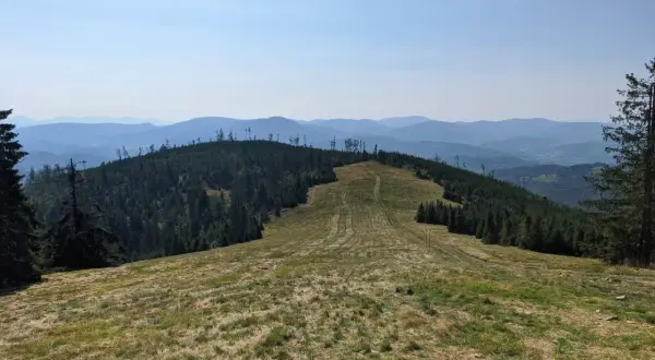 Widok z kamery rysianka na zalesione wzgórza i pasma górskie w oddali.
