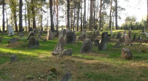 Kamienne nagrobki na cmentarzu tatarskim, otoczone sosnowym lasem. Słońce przebija się przez drzewa, oświetlając zieloną trawę i kamienie.