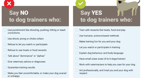 A graphic lists "Say NO" and "Say YES" to dog trainers. The "YES" side highlights positive methods, like a dog therapist using rewards and humane techniques.