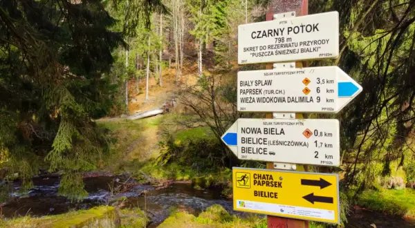 Kolory szlaków w górach: Mit czy drogowskaz? Planuj bezpiecznie!