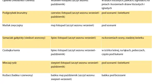 Od kiedy sezon na grzyby? Najważniejsze informacje i daty