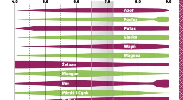 Wykres pokazuje przyswajalność składników pokarmowych w zależności od pH. Optymalne pH dla większości pierwiastków to 6.0-7.2.