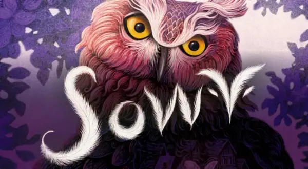 Sowy gra recenzja - czy warto zaryzykować grę w sówki?
