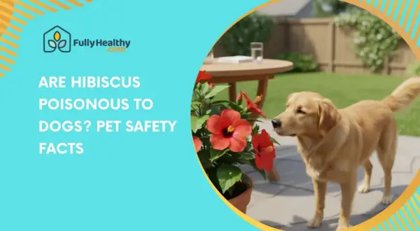 A golden retriever sniffs a potted hibiscus plant in a backyard. Text asks: "ARE HIBISCUS POISONOUS TO DOGS? PET SAFETY FACTS.
