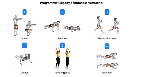 Programme de renforcement musculaire femme : squats, pompes, fentes, crunchs, jumping jacks et gainage pour un corps tonique.