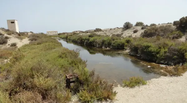 Canal de agua salada rodeado de vegetación en el parque natural Roquetas de Mar. Se aprecian ruinas y un cielo despejado.