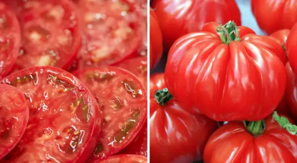 Plasterki soczystego pomidora Marmande obok całych, karbowanych owoców. Idealne do sałatek i kanapek.