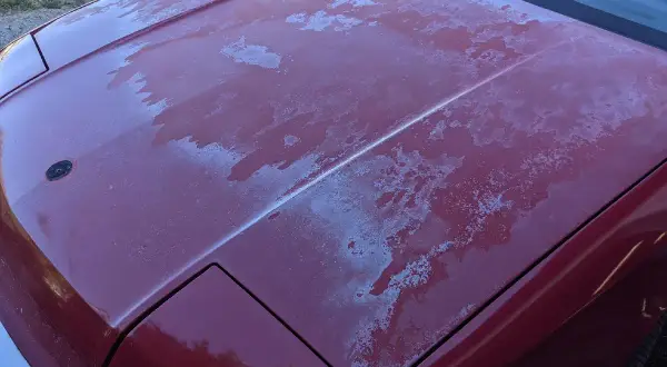 Il cofano di un'auto rossa presenta il trasparente rovinato, con chiazze bianche che indicano la necessità di capire come togliere il trasparente dalla carrozzeria.