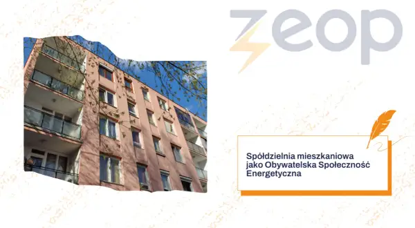 Jak działa spółdzielnia mieszkaniowa? Poznaj jej zasady i prawa członków