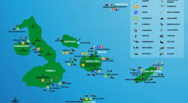 Wyspy Galapagos: Gdzie leżą i jak zaplanować podróż życia?