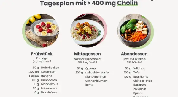 Tagesplan mit über 400 mg Cholin, wichtig für die Schwangerschaft. Enthält Frühstück, Mittag- und Abendessen mit veganen Rezepten.