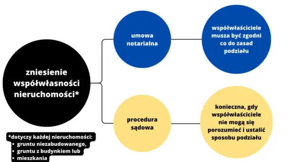 Zasiedzenie nieruchomości przez współwłaściciela: Czy to możliwe?
