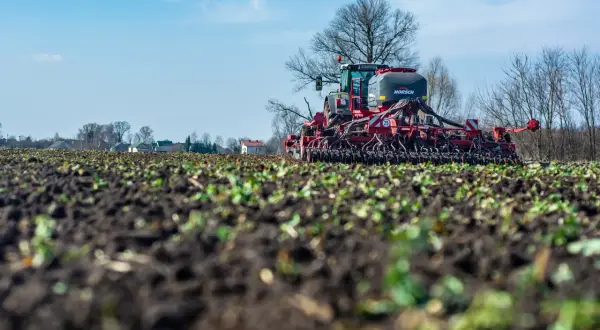 Nawóz bezchlorkowy: Klucz do lepszych plonów i zdrowej gleby