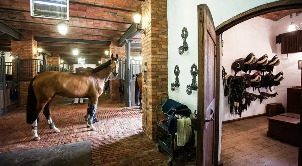 Stadnina koni Zamość - najlepsze oferty i opinie o stajniach