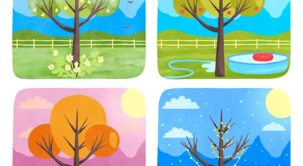 Ilustración del orden de las estaciones del año: árbol con flores (primavera), con manzanas y piscina (verano), con hojas naranjas (otoño) y con luces (invierno).