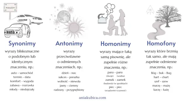 Ilustracje przedstawiające synonimy (auta), antonimy (księżyc i słońce), homonimy (para, zamek) i homofony (Bóg, buk).
