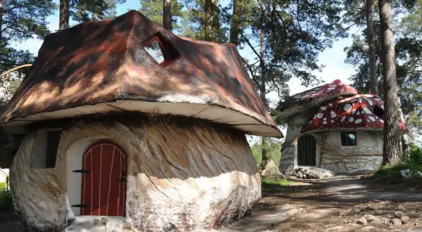 Två fantasifulla svamphus i en skogsmiljö. En magisk plats för unika upplevelser i Sverige.