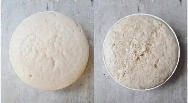 Jakie drożdże do pizzy? Świeże vs suche idealne ciasto!