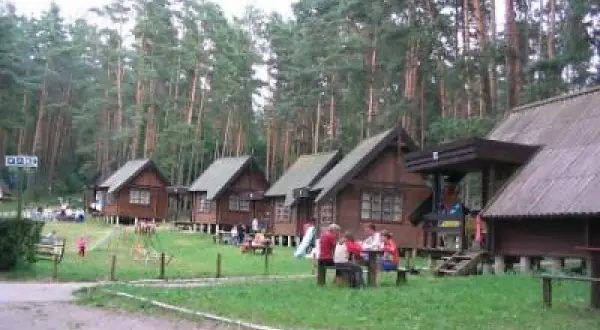 Drewniane domki letniskowe w lesie, plac zabaw i ludzie przy stołach. Stare jabłonki dodają uroku temu miejscu, oferując liczne atrakcje dla wypoczywających.