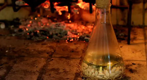 Fagioli al fiasco, un'antica ricetta che profuma di camino e tradizione. I fagioli bianchi riposano in un fiasco di vetro, pronti per essere cotti lentamente.