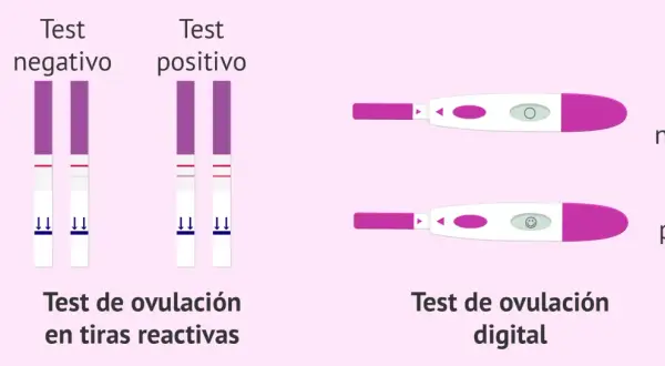 Comparativa de test de ovulación: tiras reactivas con dos líneas (positivo) y digital con carita sonriente (positivo).