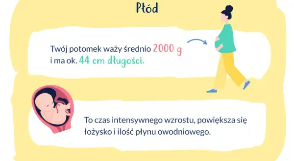 33 tydzień ciąży to czas intensywnego wzrostu płodu, który waży ok. 2000 g i ma 44 cm.