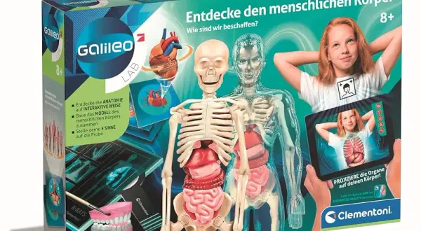 Szkielet zabawka – odkryj fascynujący świat edukacyjnych zabawek