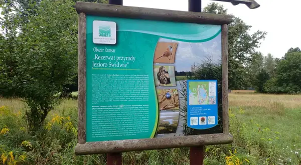 Jezioro Świdwie: Odkryj unikalne bogactwo przyrody i atrakcje