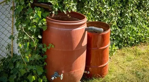 Zbiornik na deszczówkę DIY: Prosty sposób na oszczędności!