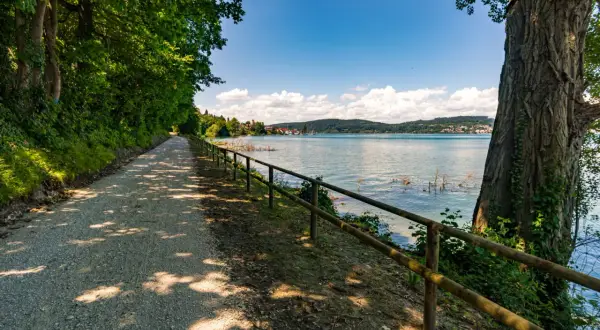 Schattenreicher Weg am Bodensee, ideal zum Wandern. Bäume säumen den Kiesweg, der zum glitzernden Wasser führt.