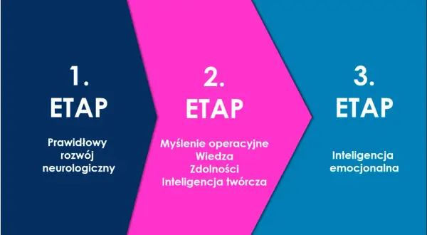 Trzy etapy rozwoju inteligencji: rozwój neurologiczny, wiedza i inteligencja twórcza, oraz inteligencja emocjonalna.