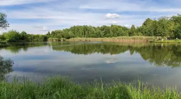 Atrakcje w Ogrodzieńcu: Odkryj ukryte skarby i emocjonujące miejsca